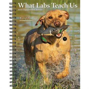 What Labs Teach Us 2026 6.5 X 8.5 Engagement Calendar