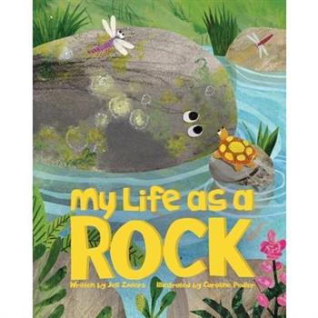 My Life as a Rock