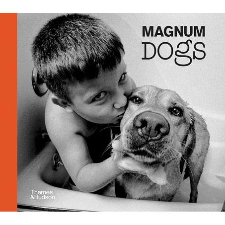 Magnum Dogs