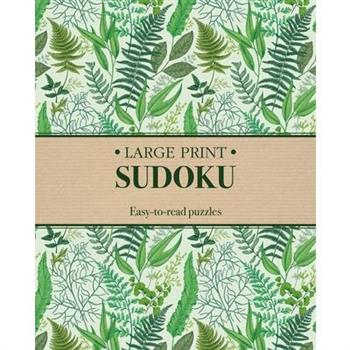 Large Print Sudoku