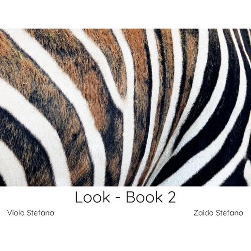 Look - Book 2
