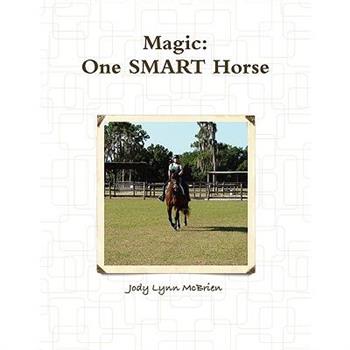 Magic One SMART Horse