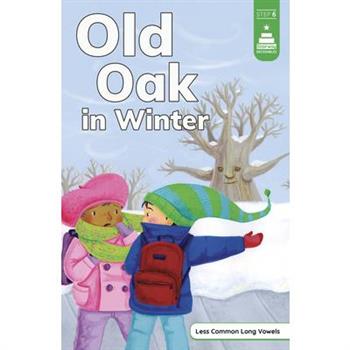 Old Oak in Winter