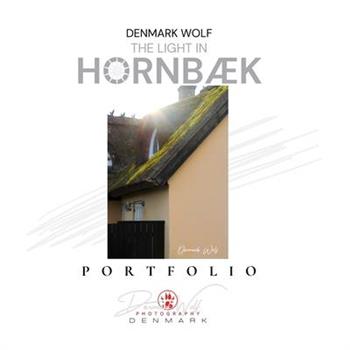 The Light in Hornb疆k
