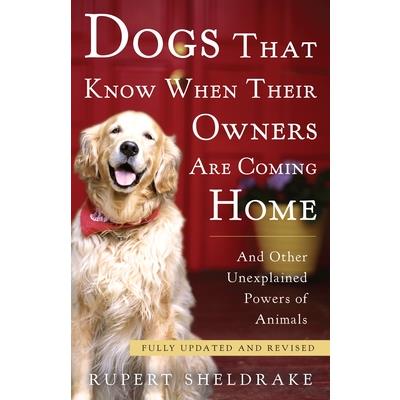 Dogs That Know When Their Owners Are Coming Home