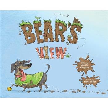 Bear's View