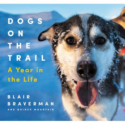 Dogs on the Trail