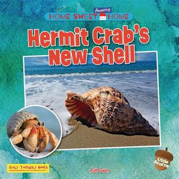 Hermit Crab's New Shell