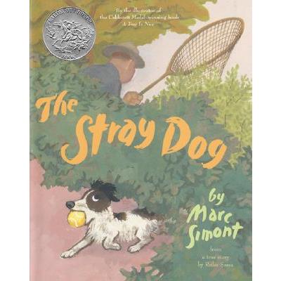 The Stray Dog