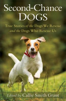 Second-chance Dogs