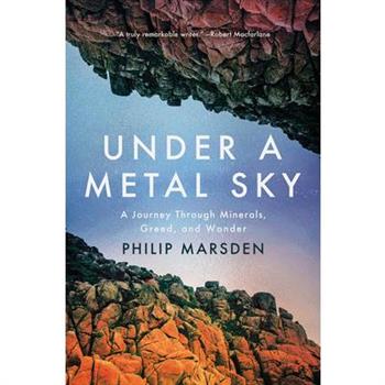 Under a Metal Sky