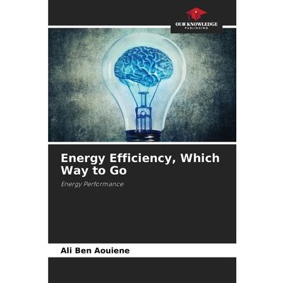 Energy Efficiency, Which Way to Go