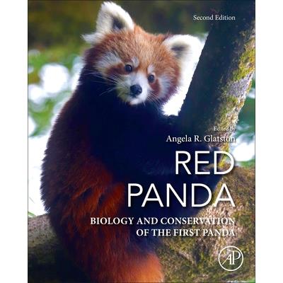 Red Panda