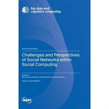 Challenges and Perspectives of Social Networks within Social Computing