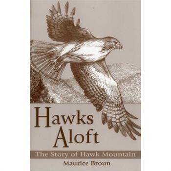 Hawks Aloft