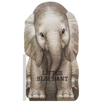 Little Elephant