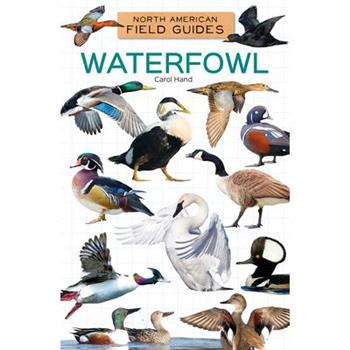 Waterfowl