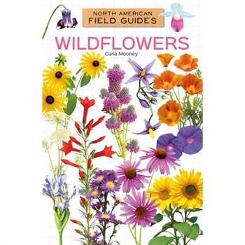 Wildflowers