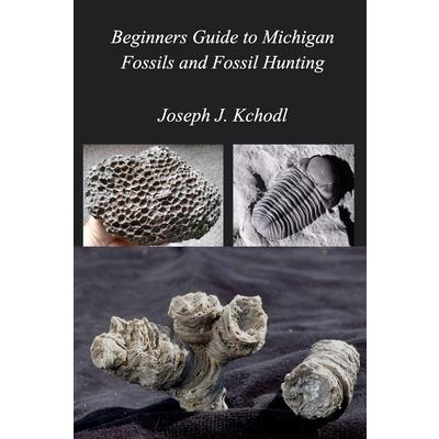 Beginners Guide to Michigan Fossils and Fossil Hunting