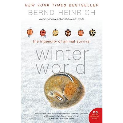 Winter World