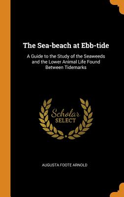 The Sea-beach at Ebb-tide