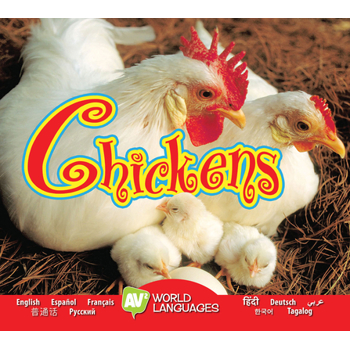Chickens