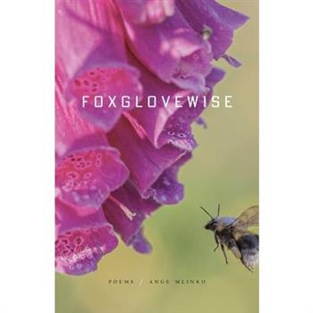 Foxglovewise