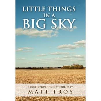 Little Things In a Big Sky