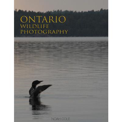 Ontario Wildlife Photography