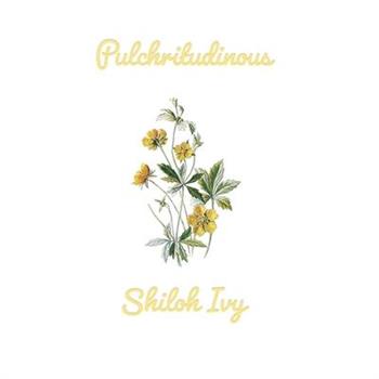 pulchritudinous
