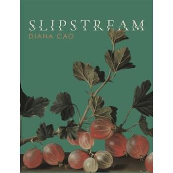 Slipstream