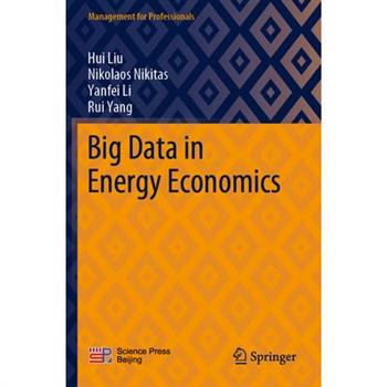 Big Data in Energy Economics
