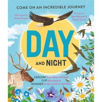 Day and Night