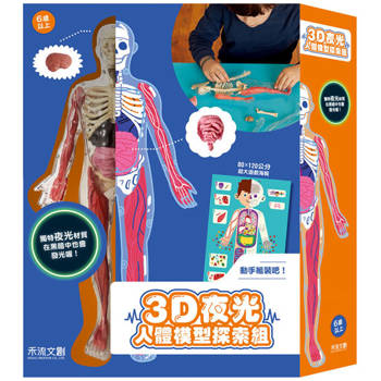 3D 夜光人體模型探索組