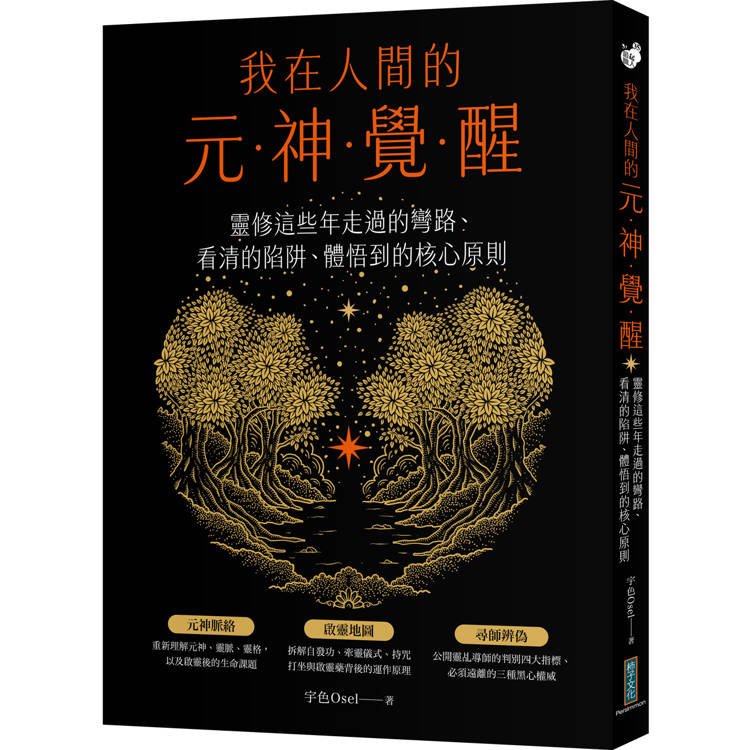 我在人間的元神覺醒：靈修這些年走過的彎路、看清的陷阱、體悟到的核心原則